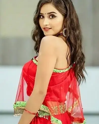Escort In Narendra Nagar